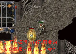 如何选择适合自己职业的传奇私服技能加点方案? 如何选择适合自己职业的传奇私服技能加点方案?