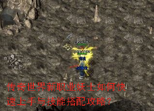 传奇世界新职业妖士如何快速上手与技能搭配攻略? 传奇世界新职业妖士如何快速上手与技能搭配攻略?