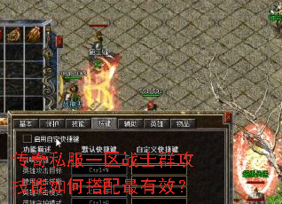 传奇私服一区战士群攻技能如何搭配最有效? 传奇私服一区战士群攻技能如何搭配最有效?