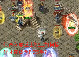 ����˽����ʿְҵ��β������ܳ�ΪPK���֣�