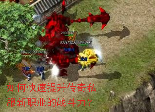如何快速提升传奇私服新职业的战斗力? 如何快速提升传奇私服新职业的战斗力?