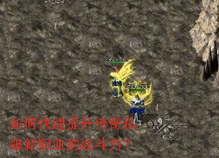 如何快速提升传奇私服新职业的战斗力? 如何快速提升传奇私服新职业的战斗力?