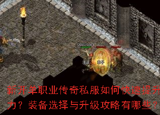 �¿���ְҵ����˽����ο�������ս����װ��ѡ����������������Щ��