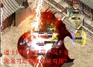 道士PK真的很弱小吗?逃跑虽可耻但真的很有用? 道士PK真的很弱小吗?逃跑虽可耻但真的很有用?