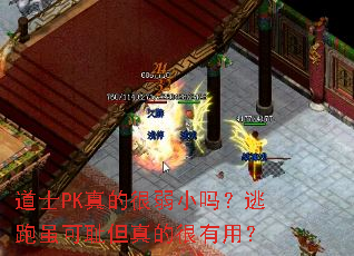 道士PK真的很弱小吗?逃跑虽可耻但真的很有用? 道士PK真的很弱小吗?逃跑虽可耻但真的很有用?