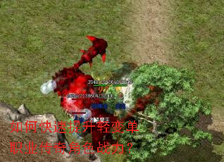 如何快速提升轻变单职业传奇角色战力? 如何快速提升轻变单职业传奇角色战力?