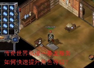 传奇世界私服一条龙服务如何快速提升角色等级? 传奇世界私服一条龙服务如何快速提升角色等级?