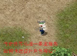 传奇世界私服一条龙服务如何快速提升角色等级? 传奇世界私服一条龙服务如何快速提升角色等级?