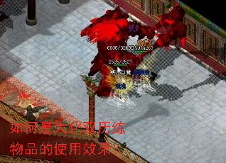 如何最大化双历练物品的使用效果? 如何最大化双历练物品的使用效果?