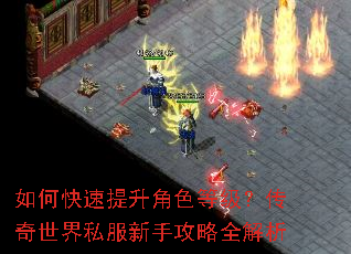如何快速提升角色等级?传奇世界私服新手攻略全解析 如何快速提升角色等级?传奇世界私服新手攻略全解析