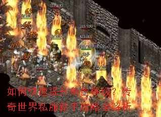 如何快速提升角色等级?传奇世界私服新手攻略全解析 如何快速提升角色等级?传奇世界私服新手攻略全解析