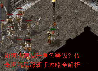 如何快速提升角色等级?传奇世界私服新手攻略全解析 如何快速提升角色等级?传奇世界私服新手攻略全解析