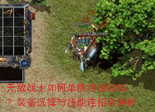 �޵�սʿ��ε����ռ�BOSS��װ��ѡ���뼼������ȫ����
