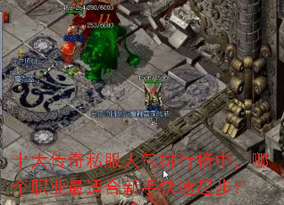 十大传奇私服人气排行榜中,哪个职业最适合新手快速起步? 十大传奇私服人气排行榜中,哪个职业最适合新手快速起步?