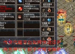 传奇代理平台如何快速提升角色等级?新手攻略全解析 传奇代理平台如何快速提升角色等级?新手攻略全解析