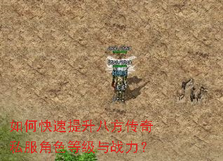 如何快速提升八方传奇私服角色等级与战力? 如何快速提升八方传奇私服角色等级与战力?