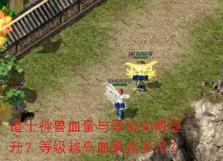 道士神兽血量与等级如何提升?等级越高血量越多吗? 道士神兽血量与等级如何提升?等级越高血量越多吗?