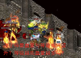 道士神兽血量与等级如何提升?等级越高血量越多吗? 道士神兽血量与等级如何提升?等级越高血量越多吗?