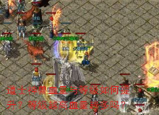 ��ʿ����Ѫ����ȼ�����������ȼ�Խ��Ѫ��Խ����