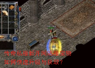 传奇私服新开网站服宠物如何快速升级与获取? 传奇私服新开网站服宠物如何快速升级与获取?
