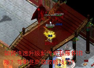 如何快速升级新传奇私服怀旧服?有哪些高效攻略技巧? 如何快速升级新传奇私服怀旧服?有哪些高效攻略技巧?