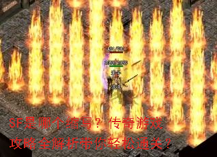 SF是哪个缩写?传奇游戏攻略全解析带你轻松通关? SF是哪个缩写?传奇游戏攻略全解析带你轻松通关?