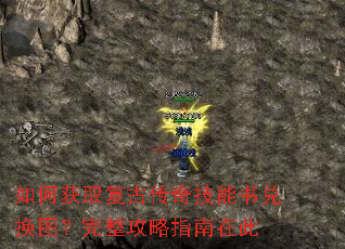 ��λ�ȡ���Ŵ��漼����һ�ͼ����������ָ���ڴ�
