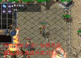 行会会长必读?如何高效管理团队并提升实力? 行会会长必读?如何高效管理团队并提升实力?