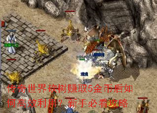 传奇世界砍树赚取5金币后如何高效利用?新手必看攻略 传奇世界砍树赚取5金币后如何高效利用?新手必看攻略
