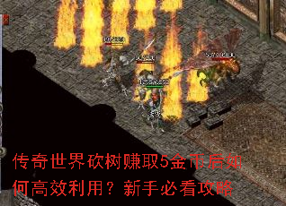 传奇世界砍树赚取5金币后如何高效利用?新手必看攻略 传奇世界砍树赚取5金币后如何高效利用?新手必看攻略