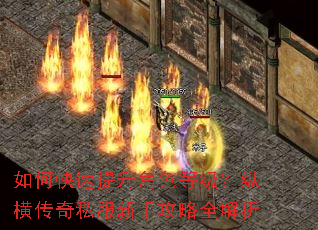 如何快速提升角色等级?纵横传奇私服新手攻略全解析 如何快速提升角色等级?纵横传奇私服新手攻略全解析