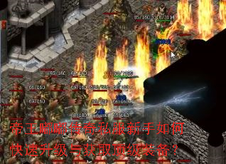帝王嘟嘟传奇私服新手如何快速升级与获取顶级装备? 帝王嘟嘟传奇私服新手如何快速升级与获取顶级装备?