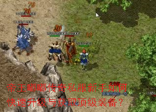 帝王嘟嘟传奇私服新手如何快速升级与获取顶级装备? 帝王嘟嘟传奇私服新手如何快速升级与获取顶级装备?