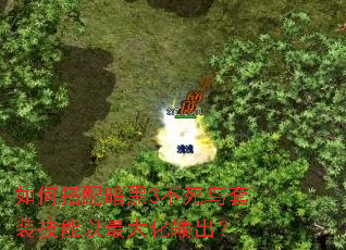 如何搭配暗黑3不死鸟套装技能以最大化输出? 如何搭配暗黑3不死鸟套装技能以最大化输出?