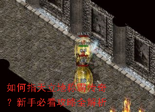 如何指天立地称霸传奇?新手必看攻略全解析 如何指天立地称霸传奇?新手必看攻略全解析