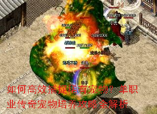 如何高效捕捉稀有宠物?单职业传奇宠物培养攻略全解析 如何高效捕捉稀有宠物?单职业传奇宠物培养攻略全解析