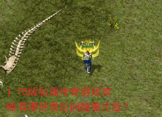 1.78版私服传奇游戏攻略有哪些常见问题需注意? 1.78版私服传奇游戏攻略有哪些常见问题需注意?