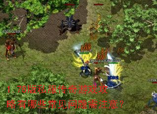 1.78版私服传奇游戏攻略有哪些常见问题需注意? 1.78版私服传奇游戏攻略有哪些常见问题需注意?