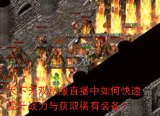 天下无双私服直播中如何快速提升战力与获取稀有装备? 天下无双私服直播中如何快速提升战力与获取稀有装备?