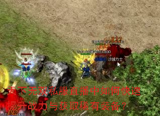 天下无双私服直播中如何快速提升战力与获取稀有装备? 天下无双私服直播中如何快速提升战力与获取稀有装备?
