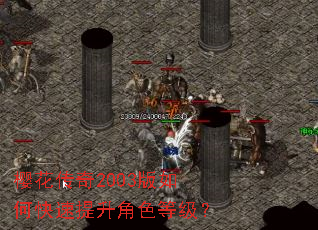 樱花传奇2003版如何快速提升角色等级? 樱花传奇2003版如何快速提升角色等级?