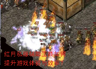 红月私服辅助工具如何提升游戏体验与效率? 红月私服辅助工具如何提升游戏体验与效率?