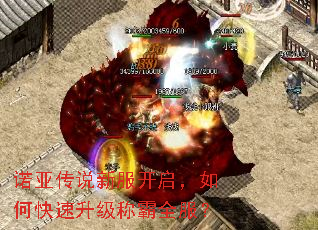 诺亚传说新服开启,如何快速升级称霸全服? 诺亚传说新服开启,如何快速升级称霸全服?