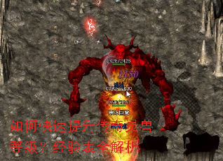 如何快速提升传奇灵兽等级?经验表全解析 如何快速提升传奇灵兽等级?经验表全解析