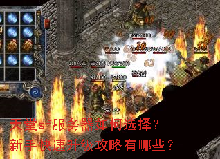 ����sf���������ѡ�����ֿ���������������Щ��