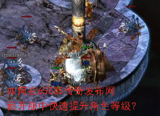 如何在65535传奇发布网新开服中快速提升角色等级? 如何在65535传奇发布网新开服中快速提升角色等级?
