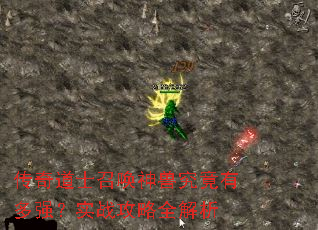 传奇道士召唤神兽究竟有多强?实战攻略全解析 传奇道士召唤神兽究竟有多强?实战攻略全解析