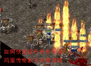 如何快速提升角色等级?鸿蒙传奇新手必看攻略 如何快速提升角色等级?鸿蒙传奇新手必看攻略