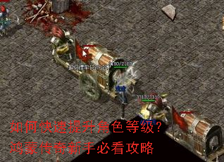 如何快速提升角色等级?鸿蒙传奇新手必看攻略 如何快速提升角色等级?鸿蒙传奇新手必看攻略