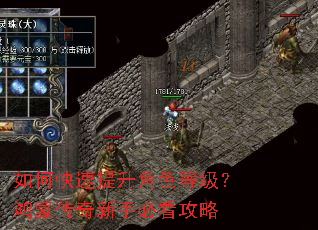 如何快速提升角色等级?鸿蒙传奇新手必看攻略 如何快速提升角色等级?鸿蒙传奇新手必看攻略